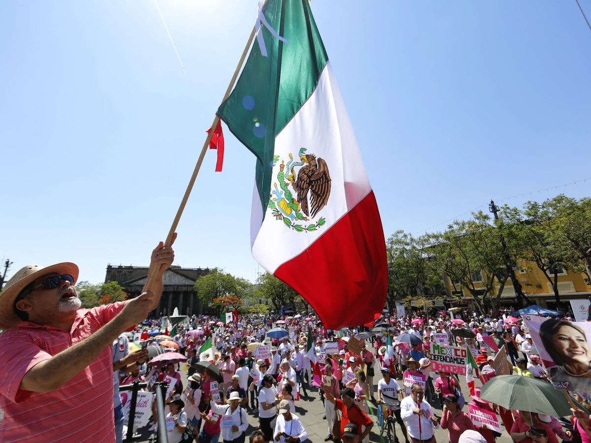 Foto: Bandera de México en una manifestación. (EFE/Francisco Guasco)