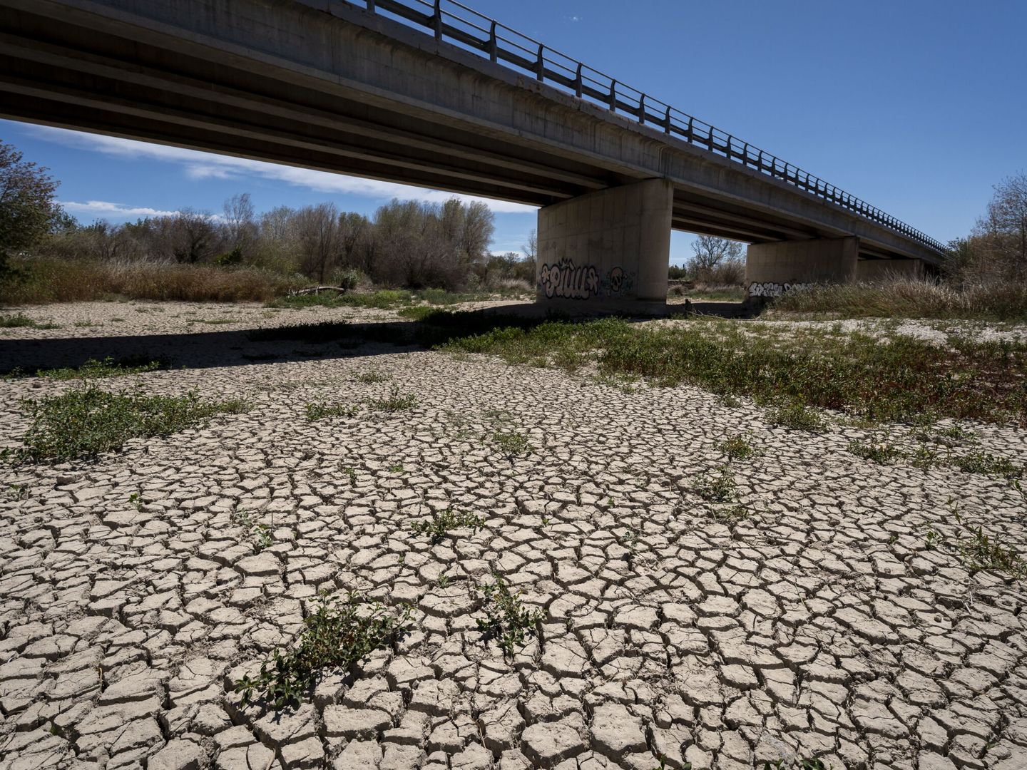La mayoría de ríos catalanes se han secado por la falta de lluvias (EFE/D.Borrat)