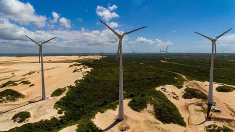 Los molinos de viento también están deforestando el Amazonas
