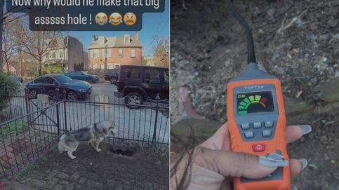 Kobe, el perro husky que cavaba hoyos y salvó a sus vecinos de una fuga de gas