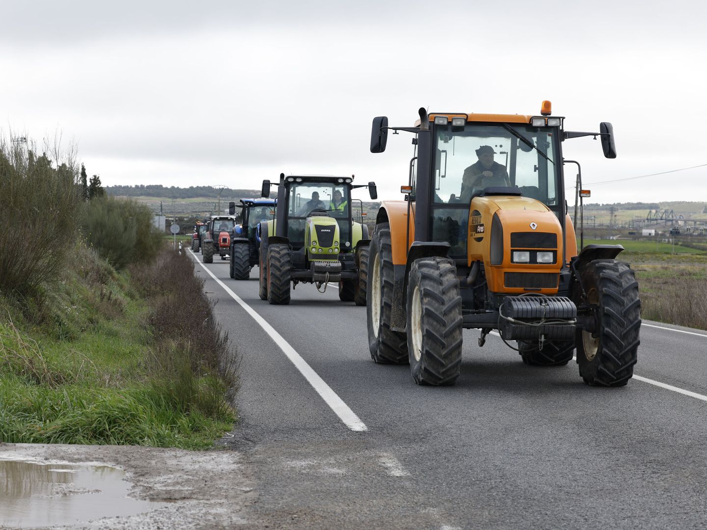 Agricultores y ganaderos durante una marcha desde el municipio de Titulcia hacia Torrejón de Velasco. (EFE/Javier Lizón)