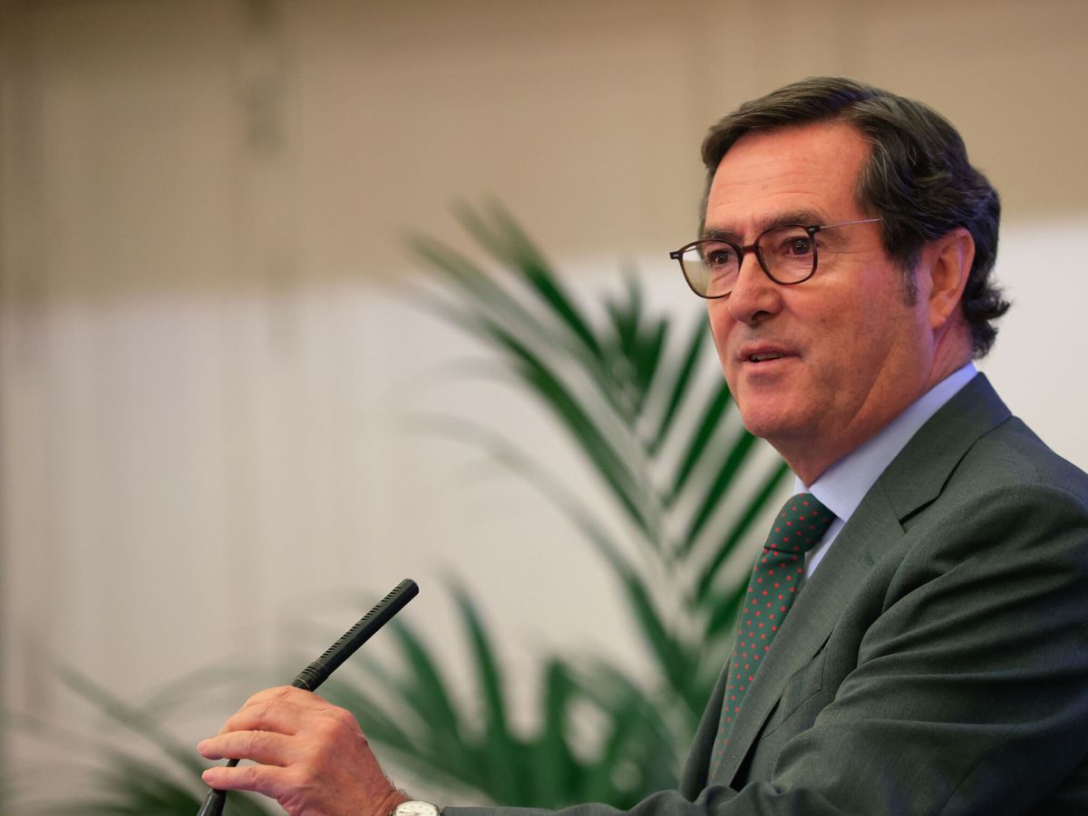 Foto: El presidente de la CEOE, Antonio Garamendi. (EFE/Zipi Aragón)
