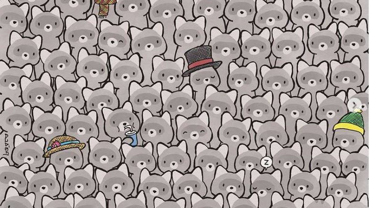 Acertijo viral: ¿eres capaz de encontrar el gato entre los mapaches?