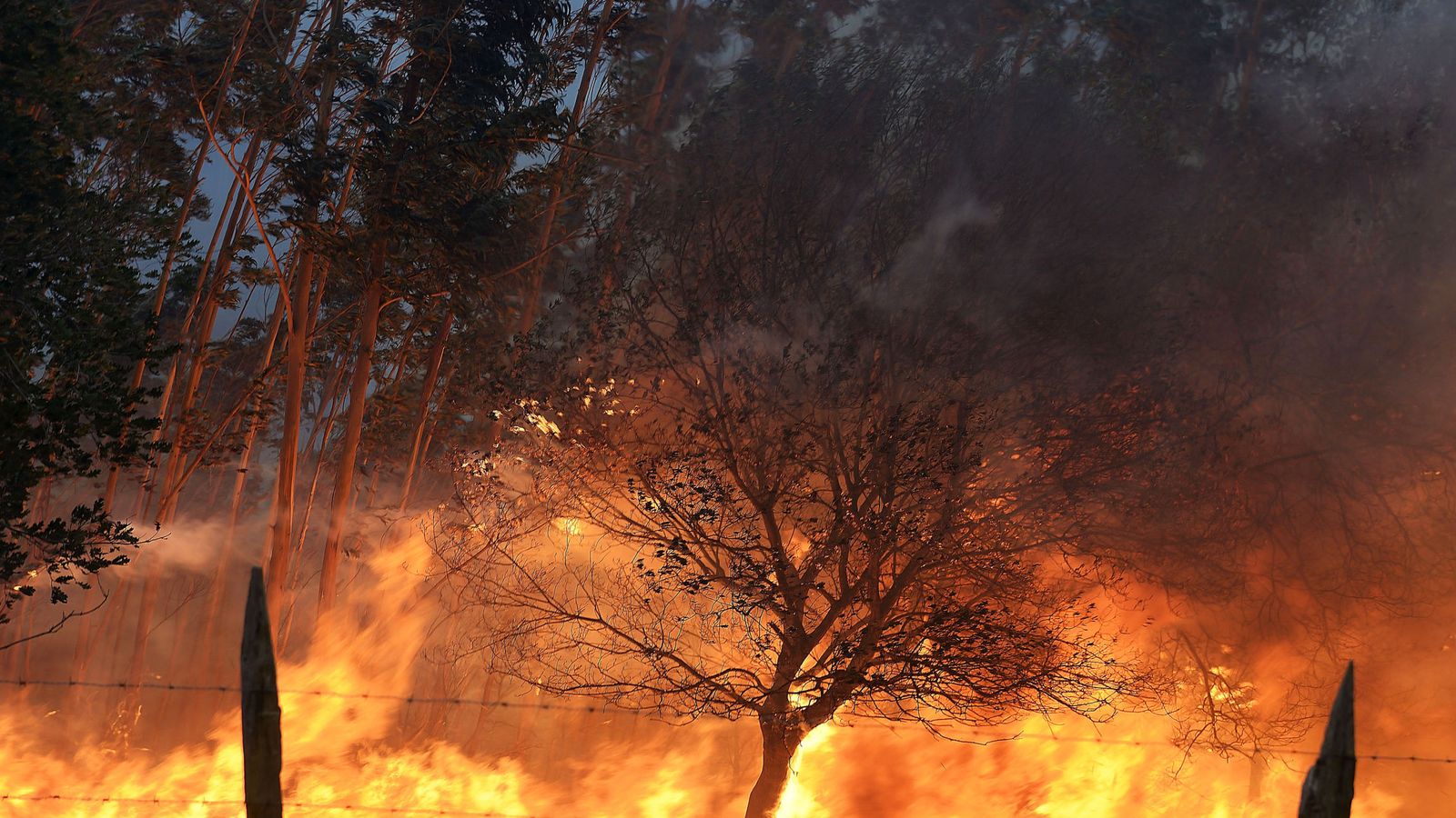 Foto: Uno de los incendios forestales en los montes próximos a la localidad cántabra de Viérnoles.