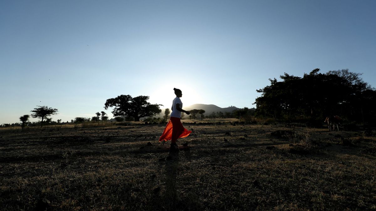 Etiopía bate el récord del mundo de plantación de árboles en un solo día