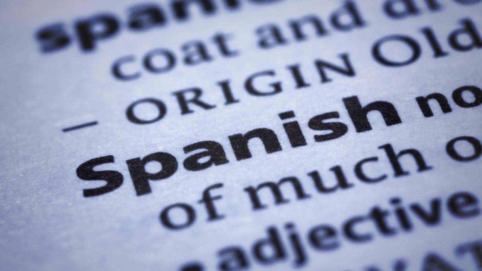 Foto: Los autores recuerdan que internacionalmente, para nombrar a nuestro idioma se suele emplear el equivalente a "español". (iStock)