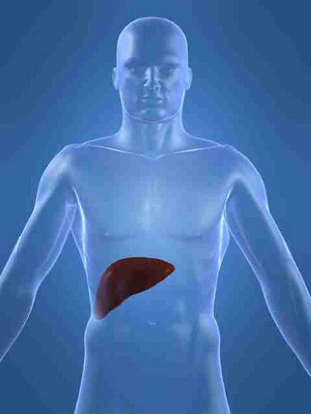Foto: Entre un 2 y un 5% de la población tiene una enfermedad de hígado a la que se hace frente con dieta y vida sana
