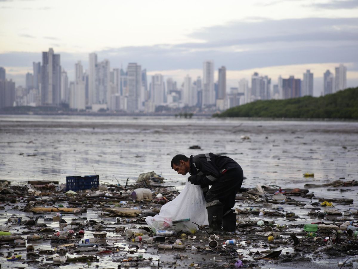Foto: Recogida de basuras en la Bahía de Panamá. EFE