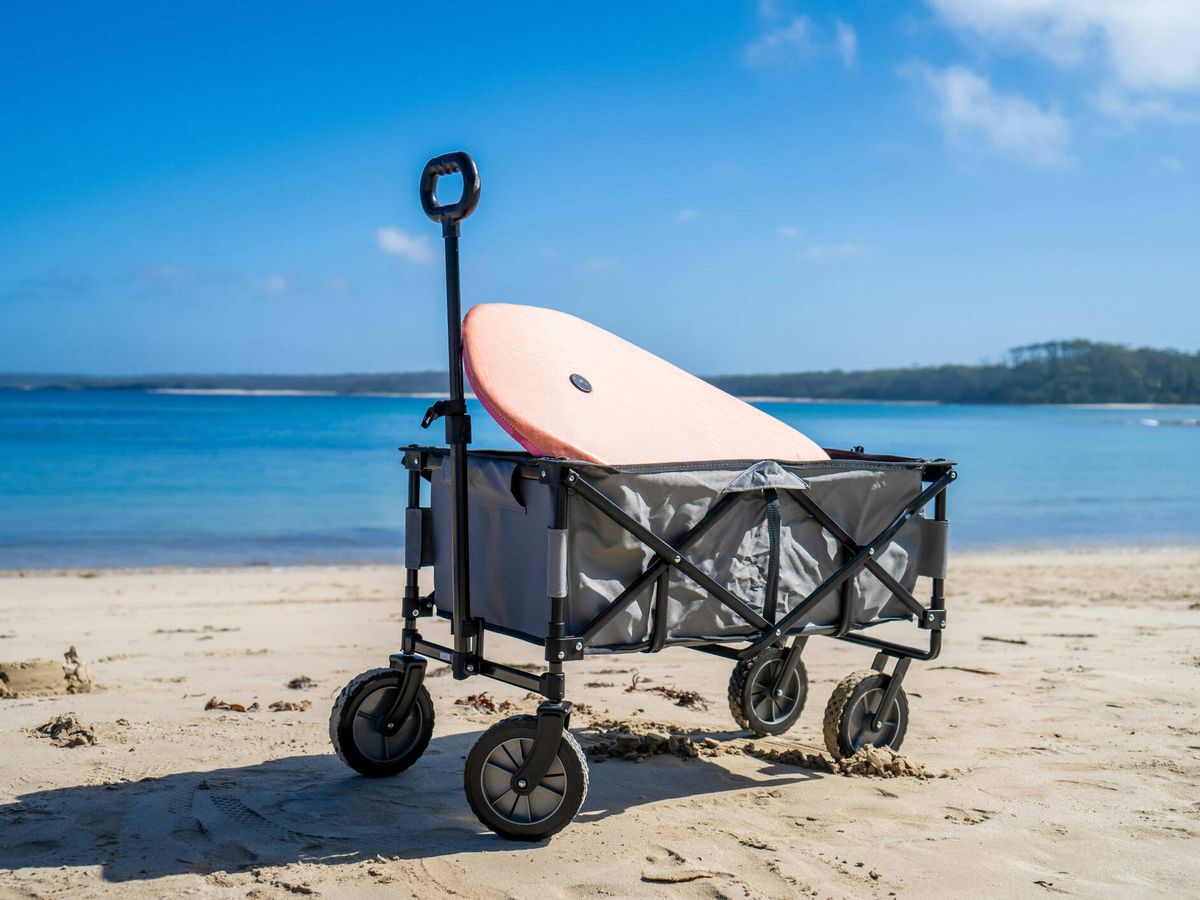 Foto: Los mejores carritos de playa para pasar un gran día de sol en verano (iStock)