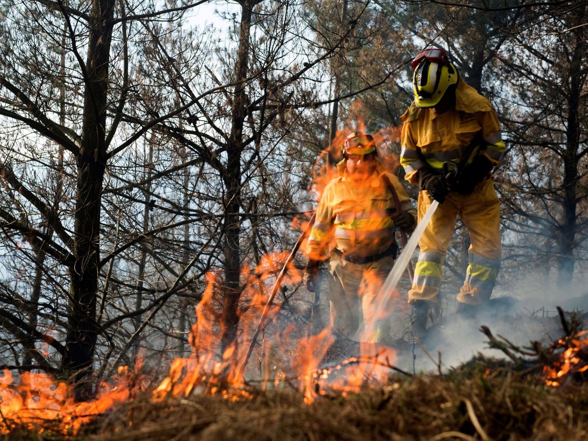 Foto: Imagen de archivo de un incendio en un bosque cántabro. (EFE)