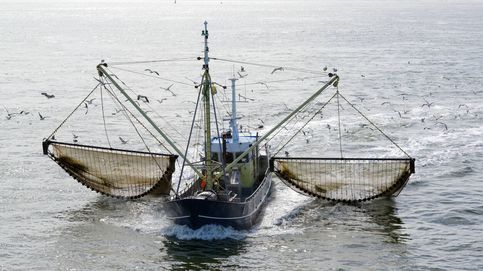 Todos a una: los eurodiputados españoles se pliegan ante los intereses de la pesca de arrastre