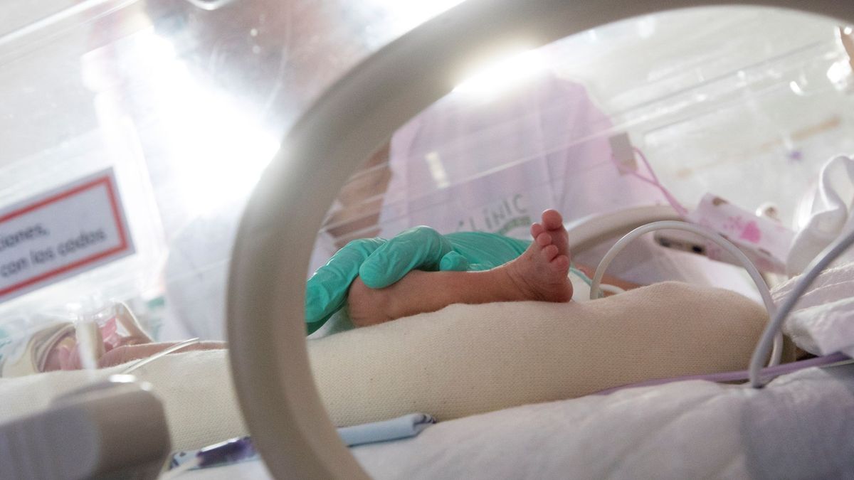El “doctor Frankestein” chino quería abrir una clínica para crear bebés de diseño