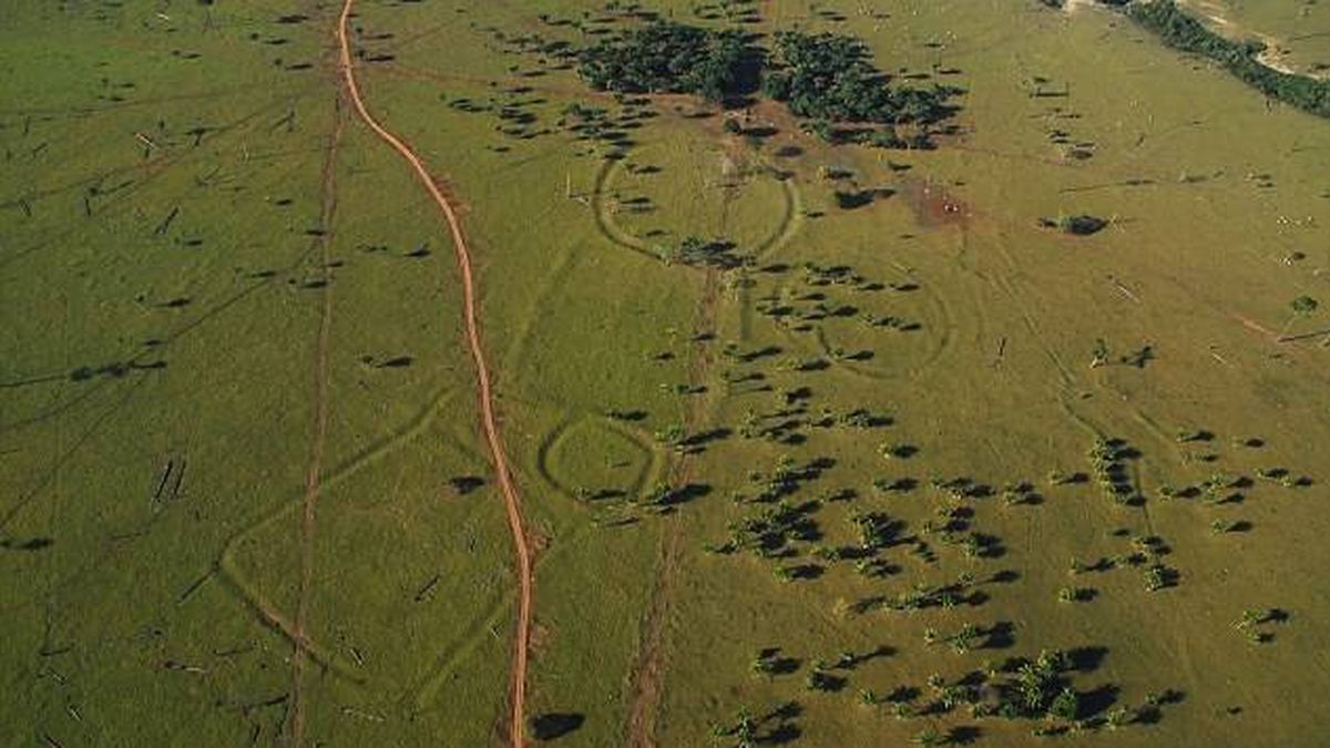 El enigma de las estructuras circulares del nuevo 'Stonehenge del Amazonas' 