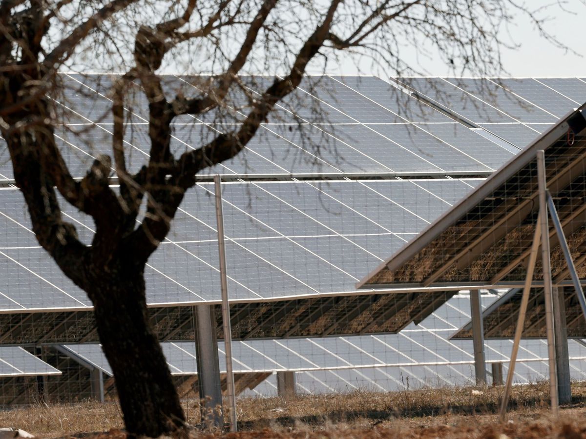 Foto: Paneles solares instalados en Requena. (EFE/Kai Försterling)