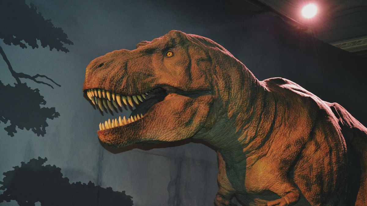 Un estudio descubre que los 'Tyrannosaurus rex' eran más inteligentes de lo  que creíamos