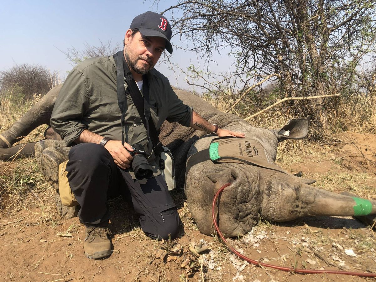 Foto: El periodista Amador Guallar, junto a un rinoceronte dormido (cedida)