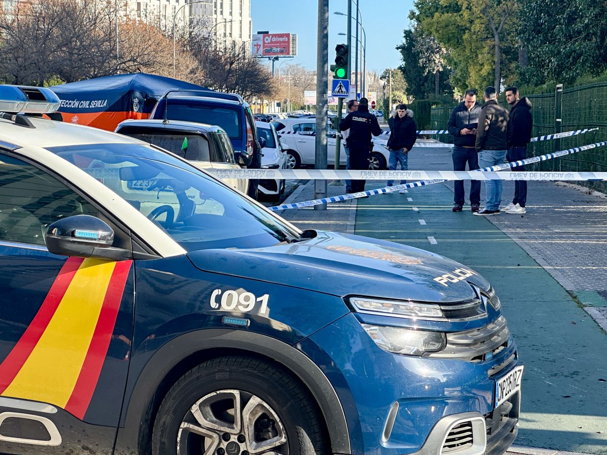 Foto: Agentes de la Policía en Sevilla. (EFE/David Arjona)