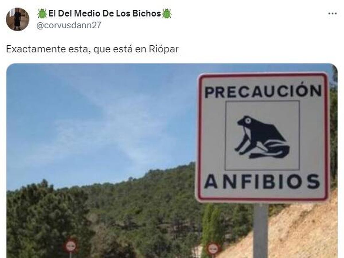 Foto: Estas son las señales de tráfico más surrealistas y divertidas de España, según Twitter (Twitter)