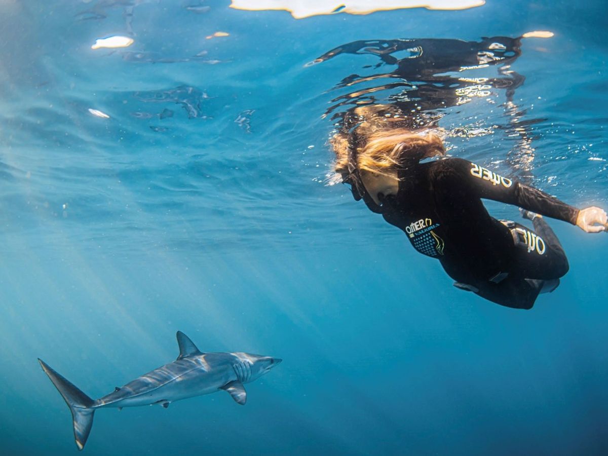 Foto: Una mujer bucea con un tiburón azul. (EFE/Rafael Fernández)
