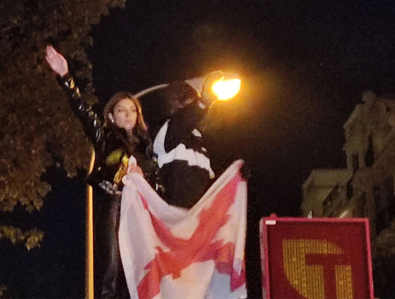 La falangista Isabel Peralta, en las protestas de Ferraz. (X: @palomarinigo) 