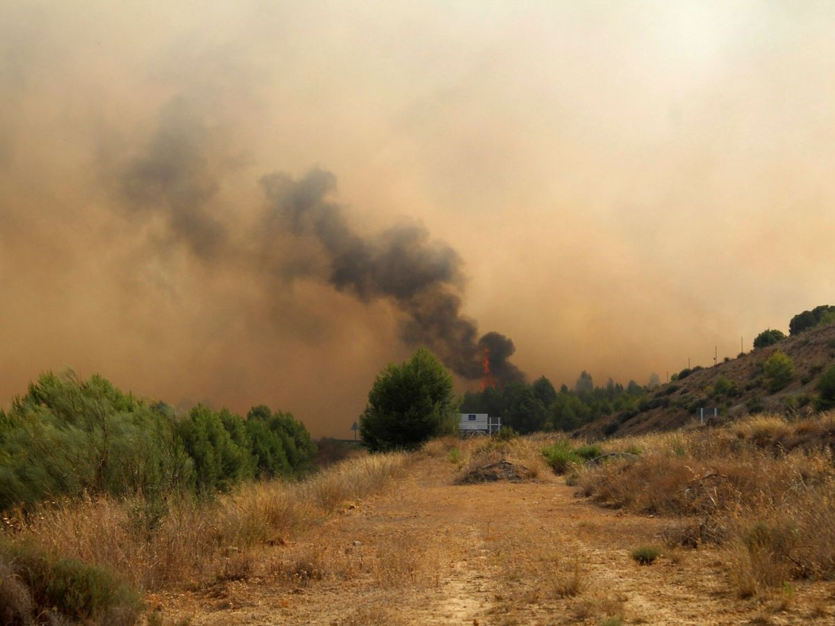 Foto: Fotografía del incendio en Hellín, en Albacete. (EFE).