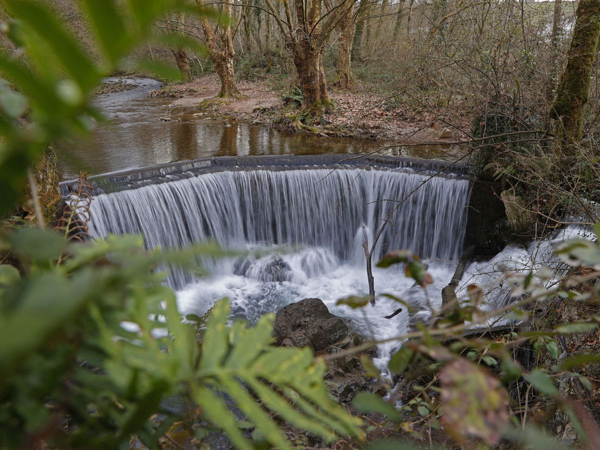 Basta de 'chatarra hidrológica': Europa acelera la eliminación de obstáculos de sus ríos