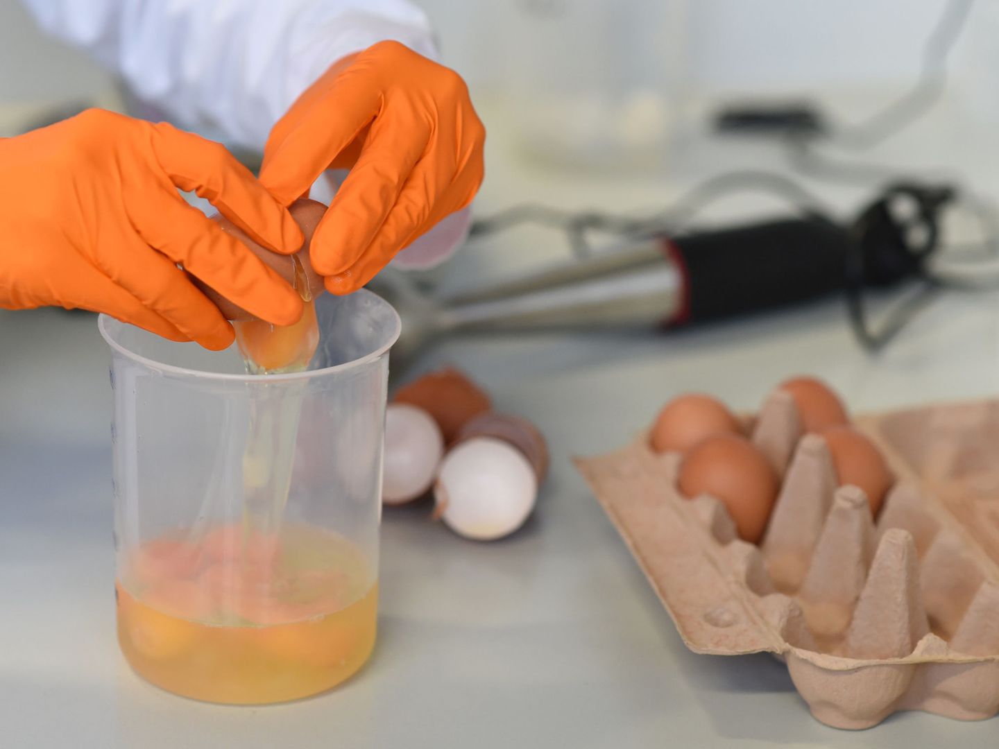 Un técnico de laboratorio analiza huevos en Baviera (Reuters)