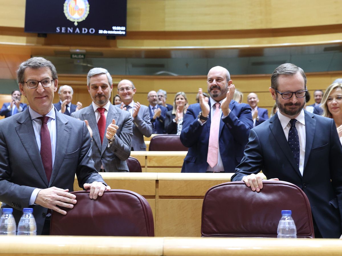 Foto: El líder del PP, Alberto Núñez Feijóo, en el pleno del Senado. (EFE/Kiko Huesca)