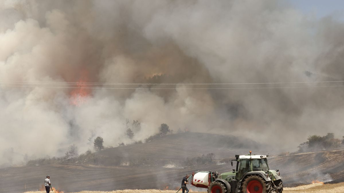 Perimetrado y en fase de estabilización el incendio de Artajona (Navarra)
