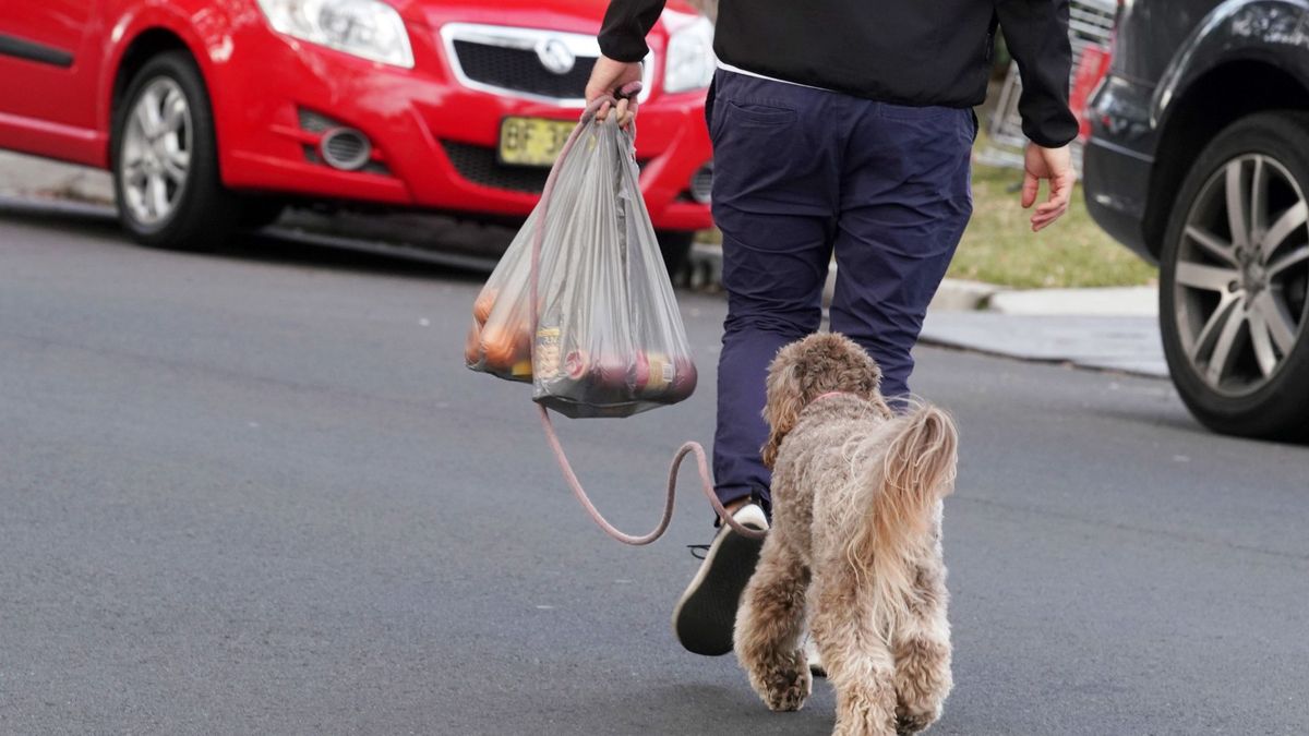 Nueva Zelanda, contra el plástico: 60.000€ de multa a las tiendas que entreguen bolsas