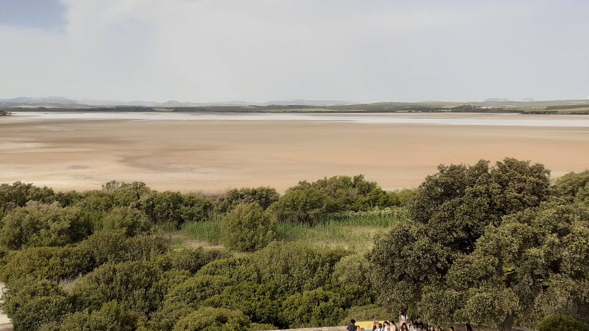 No sólo Doñana: la reserva malagueña que la sequía ha convertido en un páramo de sal