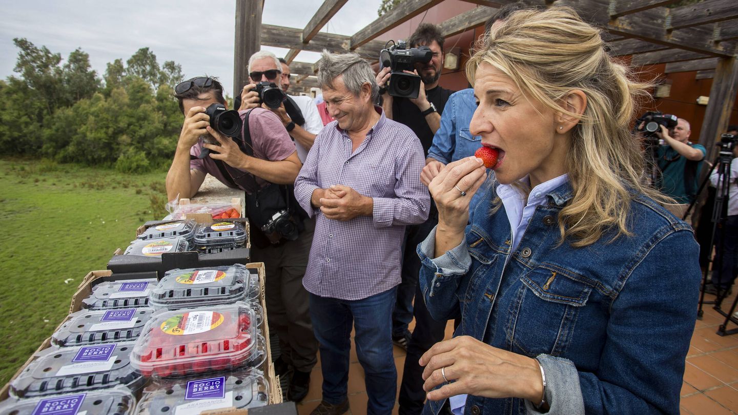 Yolanda Díaz, en su visita al entorno de Doñana, comiéndose una de las fresas que se producen en Huelva. (EFE)