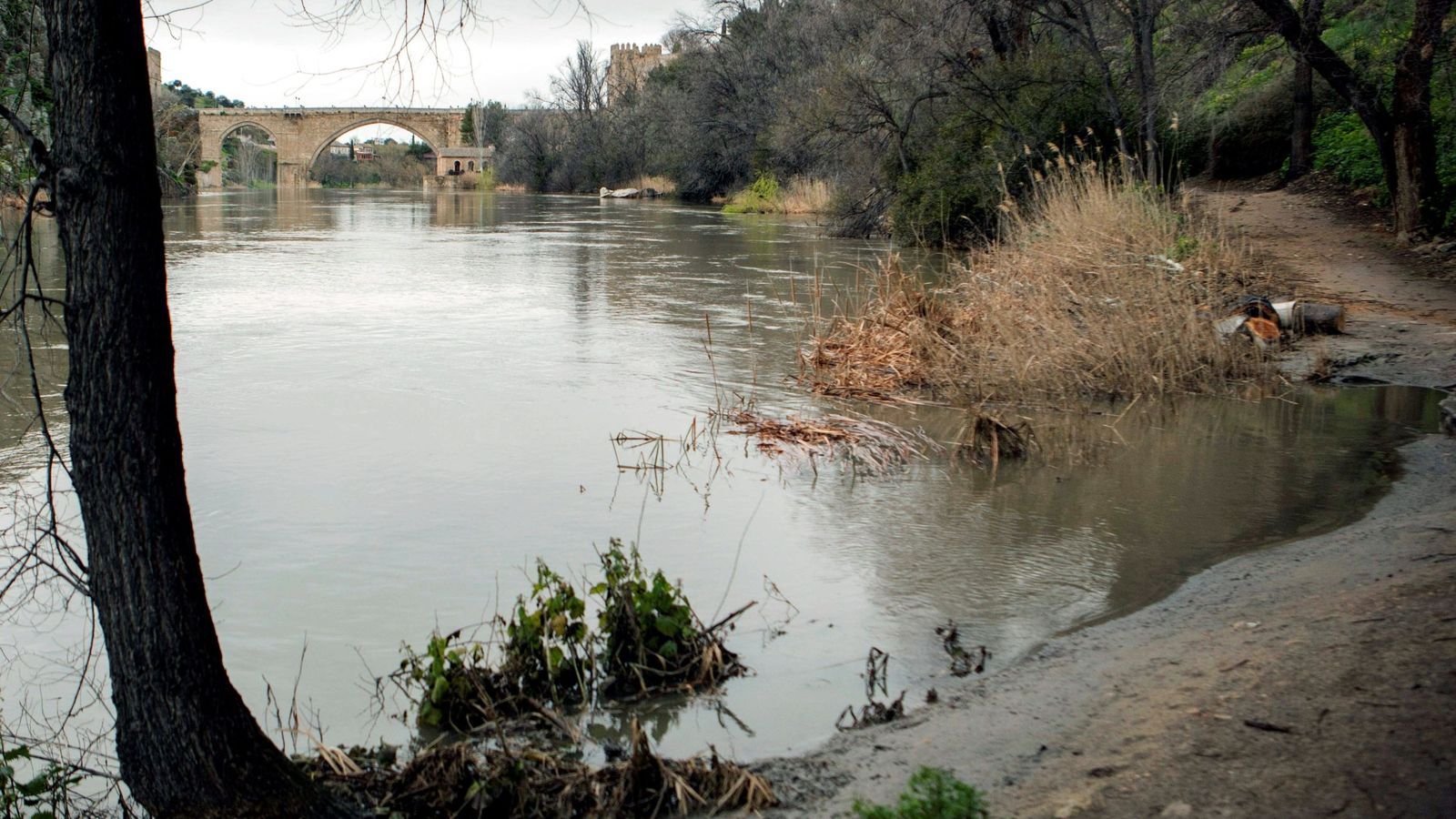 Foto: Crecida del río tajo a su paso por Toledo. (EFE)