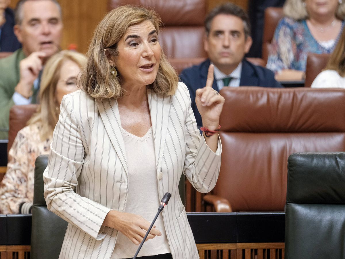 Foto: Rocío Blanco, consejera de Empleo de la Junta, en el Parlamento andaluz. (Cedida)