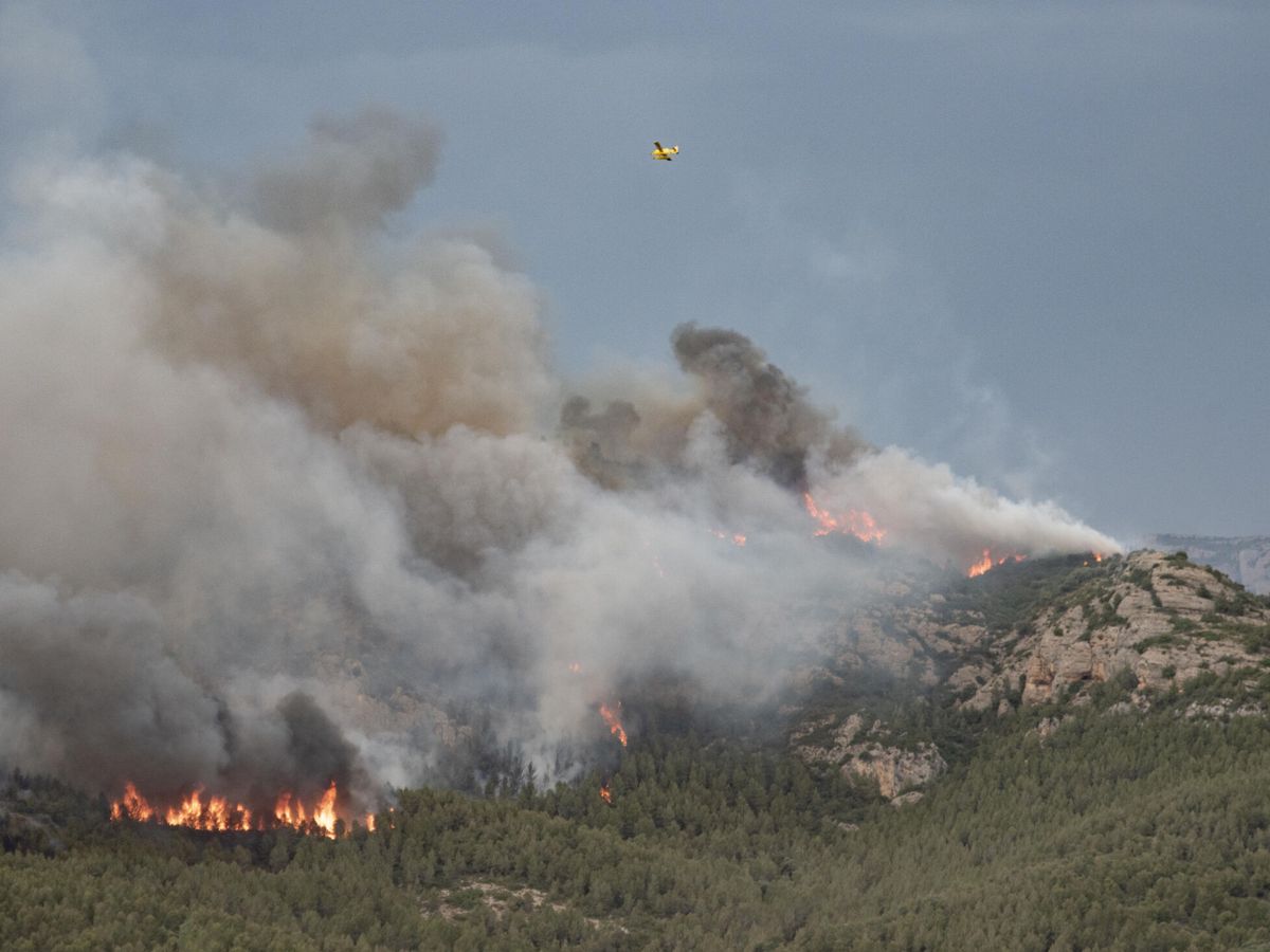 Foto: Los bomberos de la Generalitat trabajan en la extinción de ocho incendios. (EFE/Ramón Gabriel)