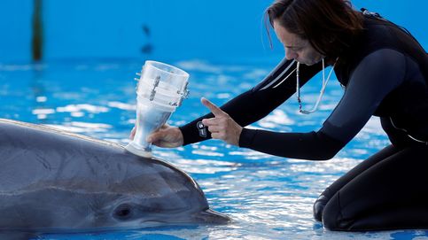 Otoño en Navarra y espirometría a un delfín: el día en fotos 
