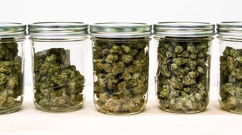 Marihuana a domicilio y otros inventos para amantes del cannabis