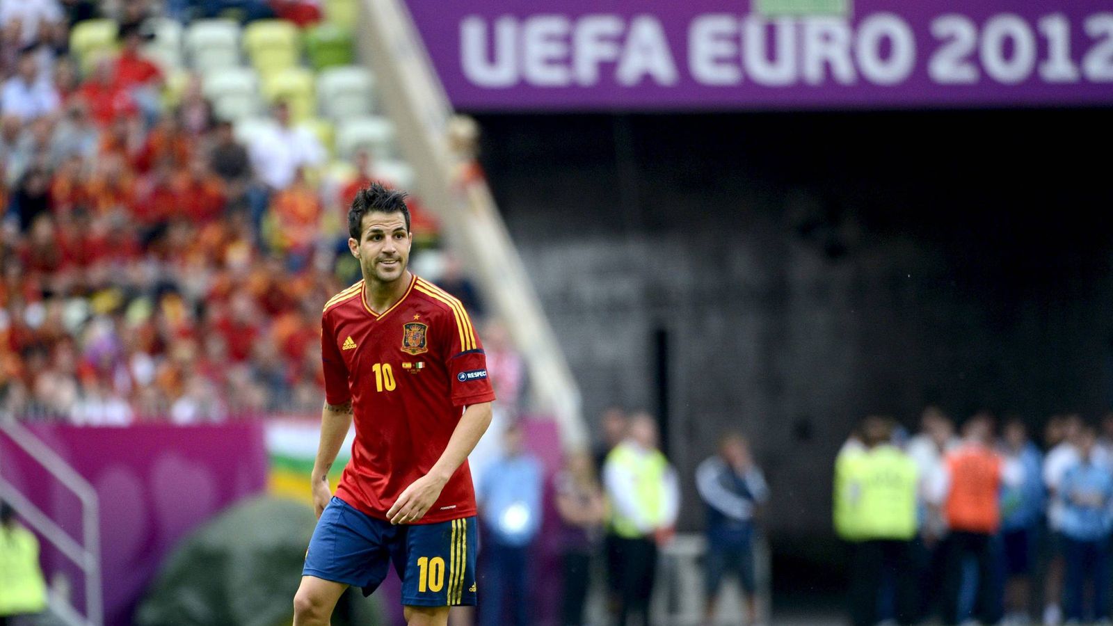 Cesc Fábregas, en un partido de la Euro 2012. (EFE)