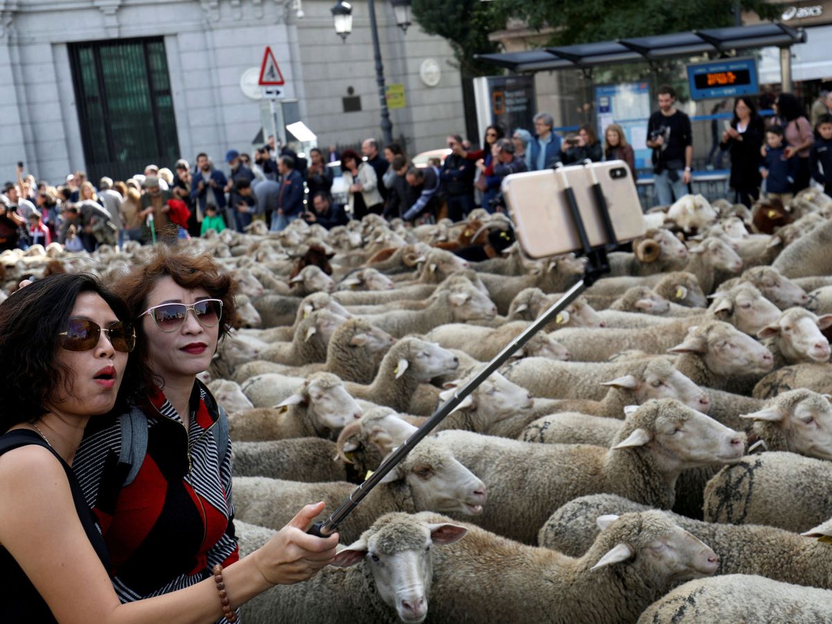 Foto: Dos mujeres se hacen un 'selfie' durante la Fiesta de la Trashumancia que se celebra anualmente en Madrid. (Reuters/Susana Vera)