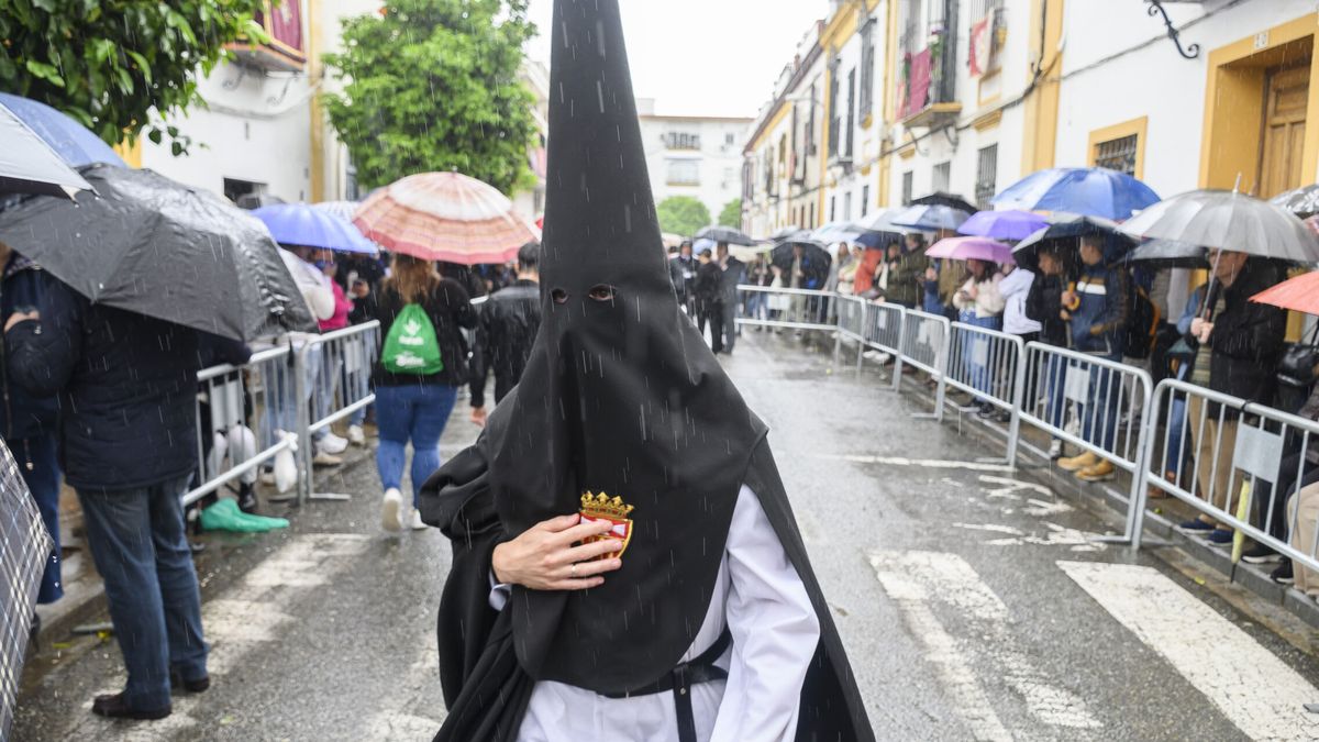 Semana Santa 2024 en Sevilla, Madrid y más | Itineario, horario y lluvia de las procesiones del Jueves Santo, en directo