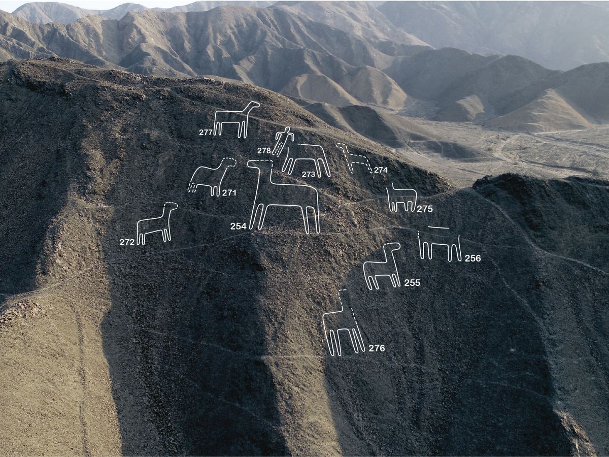Foto: Científicos japoneses descubrieron en la costa sur de Perú 168 nuevos geoglifos cerca de las líneas de Nazca, consideradas desde 1994 por la Unesco Patrimonio Cultural de la Humanidad. /EFE/Universidad de Yamagata)