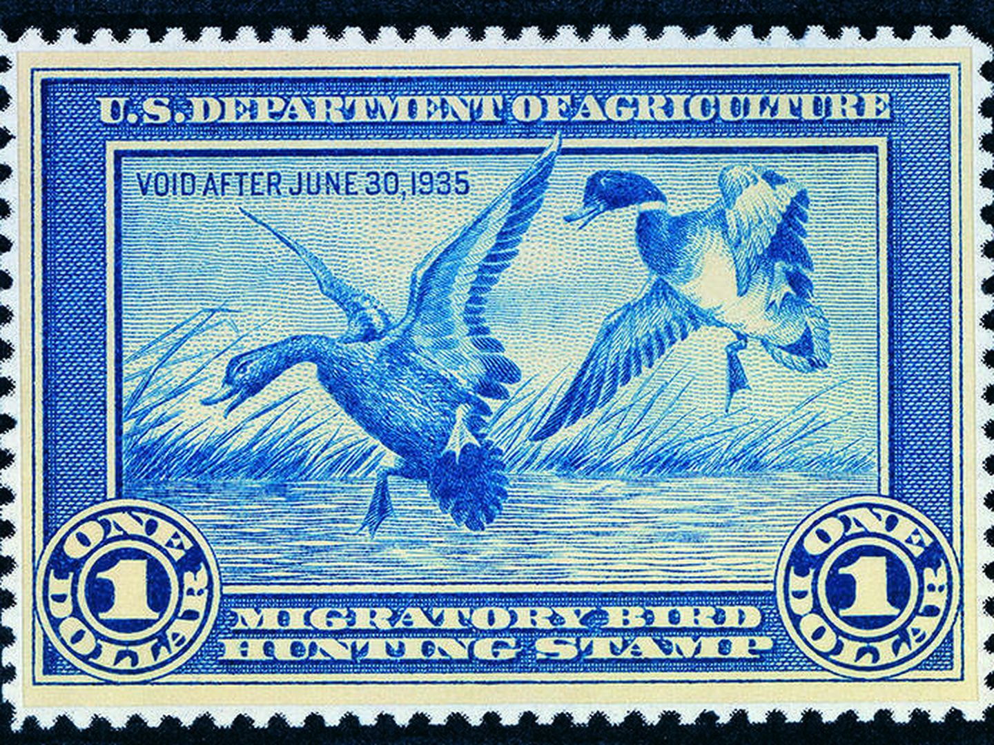 La primera edición del 'Federal Duck Stamp' en 1934. U.S. Fish 