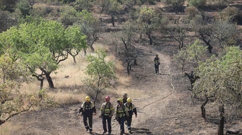 Más de 10.000 hectáreas quemadas en los fuegos de Tarragona, Toledo y Ávila