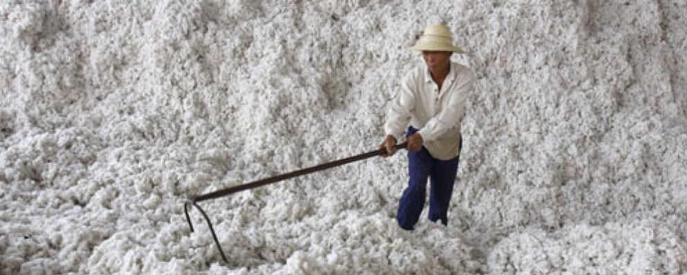 Foto: El precio del algodón se desploma un 38% en julio tras marcar máximos históricos en abril