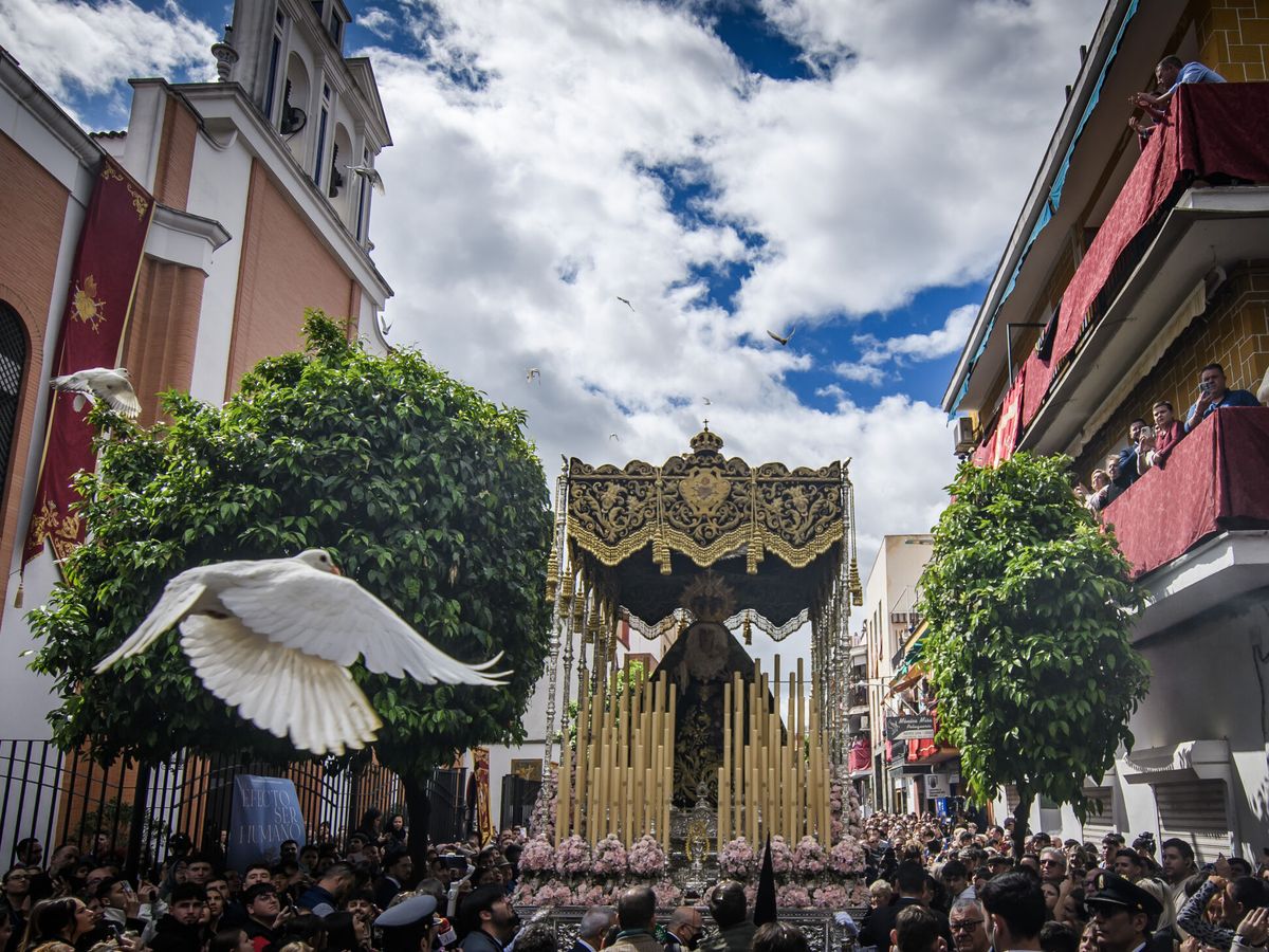 Foto: La hermandad del Cerro por las calles de Sevilla el pasado Martes Santo. (EFE/Raúl Caro)