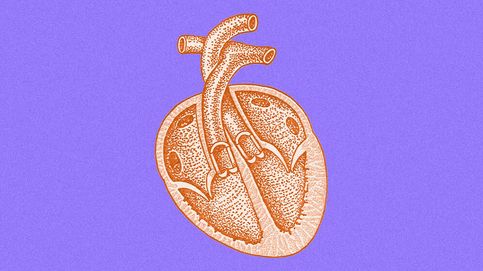 ¿Por qué los corazones dibujados no se parecen a los reales? La historia de un órgano y un símbolo