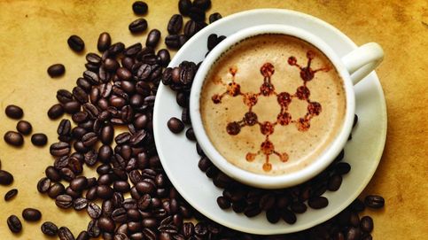 El cambio climático amenaza el café, y los transgénicos pueden ser la solución