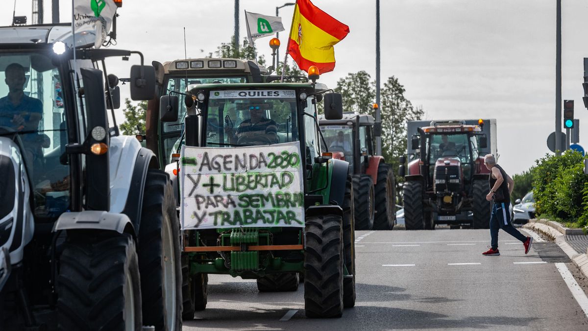 Tractorada en Madrid: los agricultores se manifiestan para denunciar la "ruina" del campo