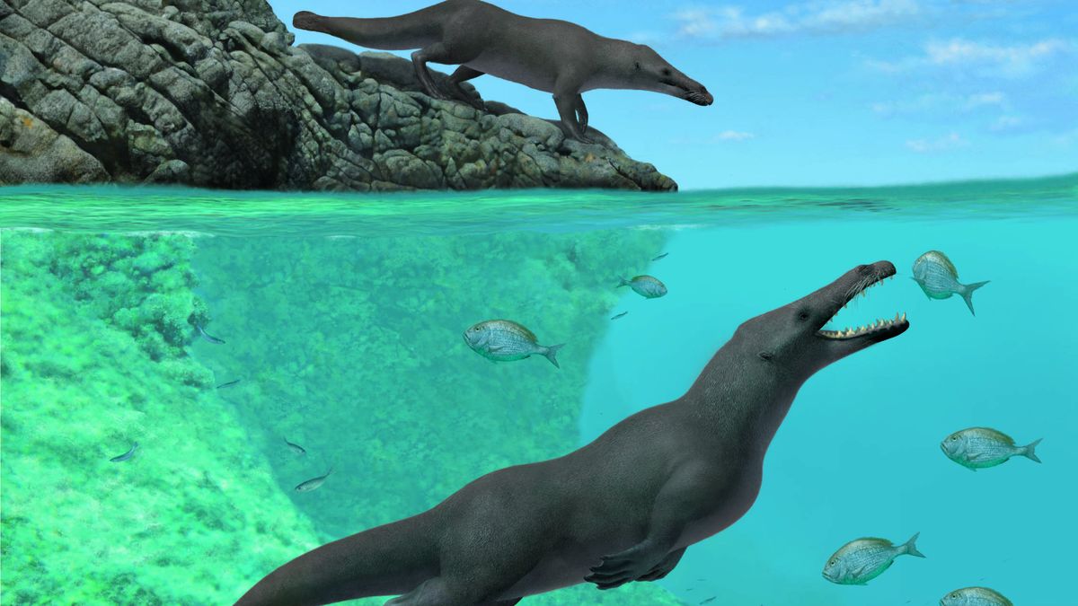 Descubren en Perú una ballena de cuatro patas que caminó hasta llegar al Pacífico