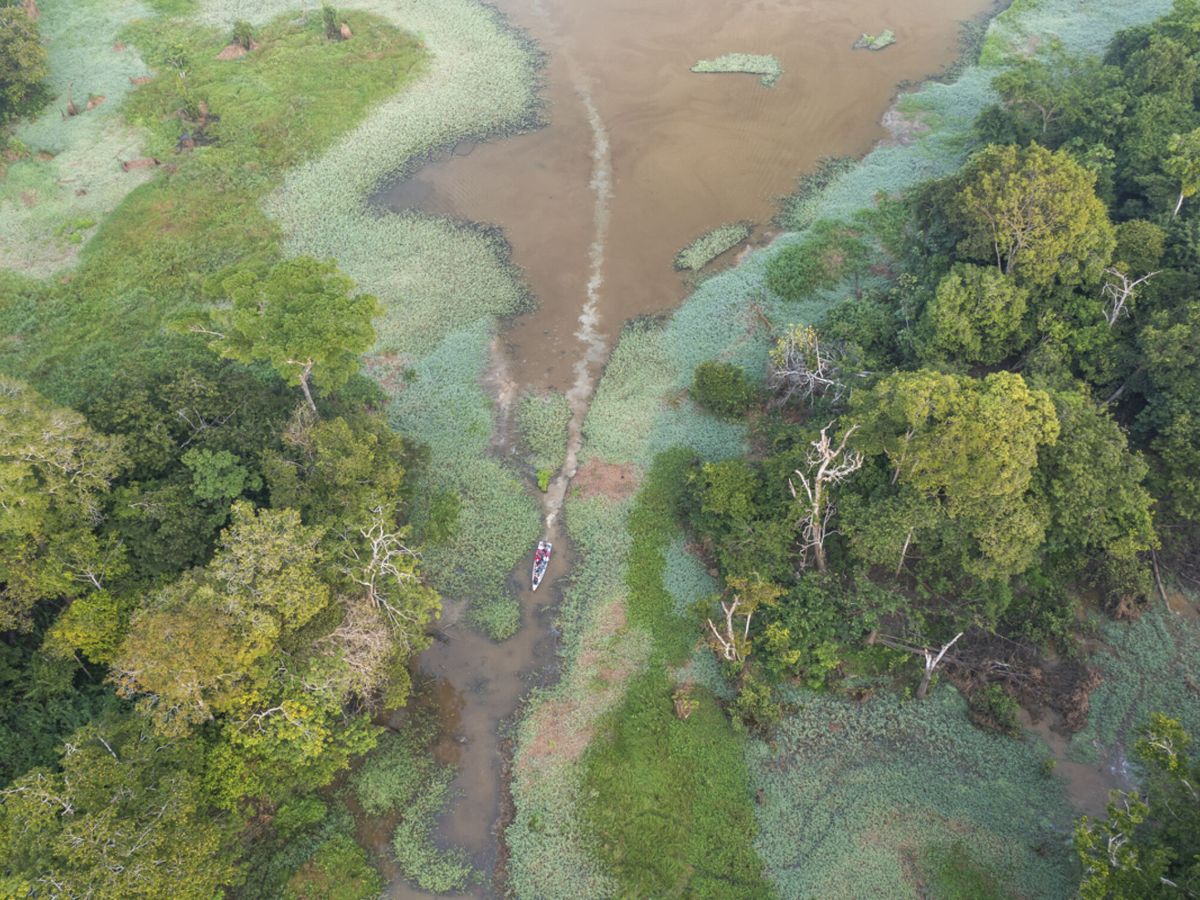 Foto: Vista aérea de la selva amazónica. (EFE/Andre Dib)